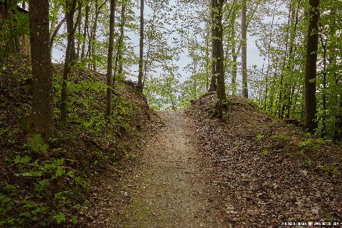 Gemeinde Julbach Landkreis Rottal-Inn Schlossberg (Dirschl Johann) Deutschland PAN